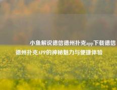 🎖️小鱼解说德信德州扑克app下载德信德州扑克APP的神秘魅力与便捷体验