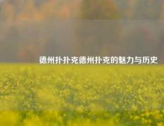 🏆德州扑扑克德州扑克的魅力与历史