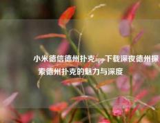 🏆小米德信德州扑克app下载深夜德州探索德州扑克的魅力与深度