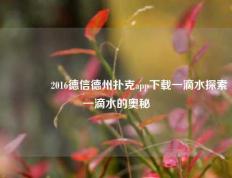 🌈2016德信德州扑克app下载一滴水探索一滴水的奥秘