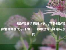 🎖️那能玩德信德州扑克app下载那能玩德信德州扑克app下载——探索游戏的乐趣与挑战