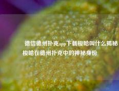🥉德信德州扑克app下载梭哈叫什么揭秘梭哈在德州扑克中的神秘身份