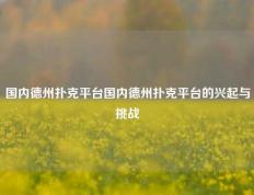 国内德州扑克平台国内德州扑克平台的兴起与挑战