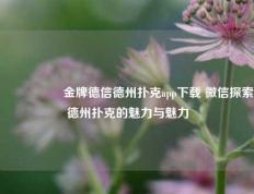 🎖️金牌德信德州扑克app下载 微信探索德州扑克的魅力与魅力