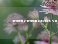 🥇德州牌扑克德州牌扑克的起源与发展