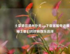 🏅土豪德信德州扑克app下载客服电话揭秘土豪们的终极娱乐选择