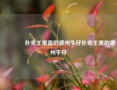 👈扑克王里面的德州牛仔扑克王里的德州牛仔