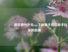 🥈德信德州扑克app下载新手玩法新手玩家的指南