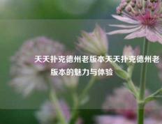 🏅天天扑克德州老版本天天扑克德州老版本的魅力与体验