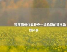 👉现实德州作弊扑克一场隐蔽的数字赌博风暴