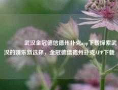 👉武汉金冠德信德州扑克app下载探索武汉的娱乐新选择，金冠德信德州扑克APP下载