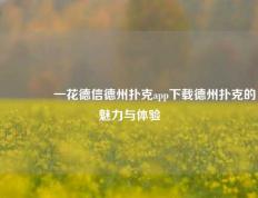 🏆一花德信德州扑克app下载德州扑克的魅力与体验