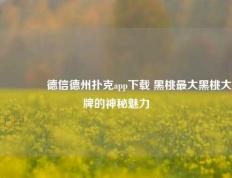 👈德信德州扑克app下载 黑桃最大黑桃大牌的神秘魅力