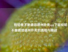 🌈梭哈是不是德信德州扑克app下载梭哈不是德信德州扑克的真相与挑战