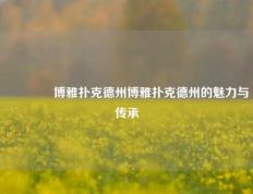 🏅博雅扑克德州博雅扑克德州的魅力与传承