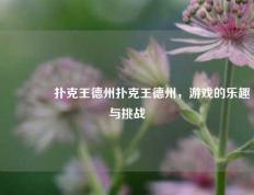 🥉扑克王德州扑克王德州，游戏的乐趣与挑战