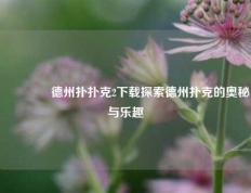 👉德州扑扑克2下载探索德州扑克的奥秘与乐趣