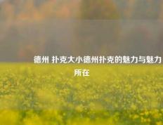 🥇德州 扑克大小德州扑克的魅力与魅力所在