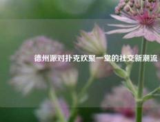 🥈德州派对扑克欢聚一堂的社交新潮流
