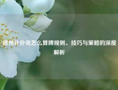 德州扑扑克怎么算牌规则、技巧与策略的深度解析