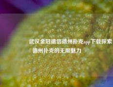🎖️武汉金冠德信德州扑克app下载探索德州扑克的无限魅力