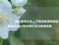 🎖️德信德州扑克app下载讲解视频德信德州扑克APP的详细介绍与使用指南