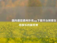 🏅国内德信德州扑克app下载平台探索在线娱乐的新世界