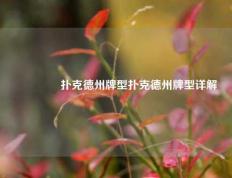 🏅扑克德州牌型扑克德州牌型详解