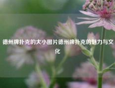 德州牌扑克的大小图片德州牌扑克的魅力与文化