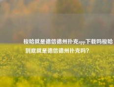 👈梭哈就是德信德州扑克app下载吗梭哈到底就是德信德州扑克吗？