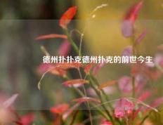 🏅德州扑扑克德州扑克的前世今生