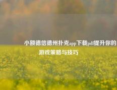 🥉小额德信德州扑克app下载pdf提升你的游戏策略与技巧
