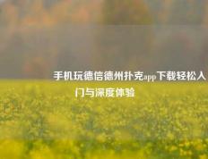 🎖️手机玩德信德州扑克app下载轻松入门与深度体验