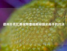 德州扑克比赛视频曹瑞揭秘顶尖高手的对决