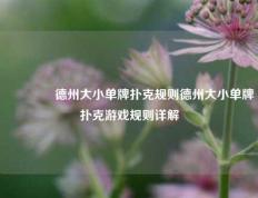 👉德州大小单牌扑克规则德州大小单牌扑克游戏规则详解