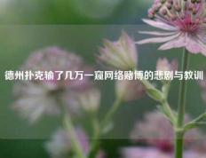 德州扑克输了几万一窥网络赌博的悲剧与教训