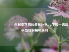 🥉永利皇宫德信德州扑克app下载一场数字盛宴的精彩展现
