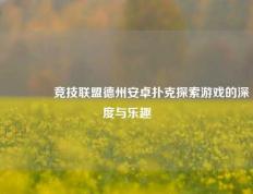 👍竞技联盟德州安卓扑克探索游戏的深度与乐趣