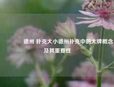 🥇德州 扑克大小德州扑克中的大牌概念及其重要性