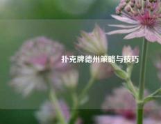 🎖️扑克牌德州策略与技巧
