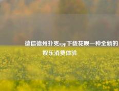 🏅德信德州扑克app下载花呗一种全新的娱乐消费体验