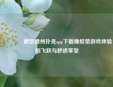 🥈德信德州扑克app下载橡胶垫游戏体验的飞跃与舒适享受