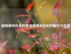 湖南德州扑克探索湖南德州扑克的魅力与文化