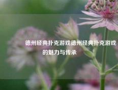 👉德州经典扑克游戏德州经典扑克游戏的魅力与传承