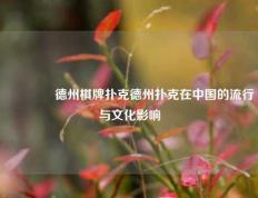 🥈德州棋牌扑克德州扑克在中国的流行与文化影响