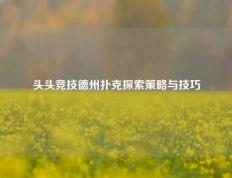 头头竞技德州扑克探索策略与技巧