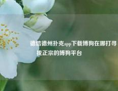 🎖️德信德州扑克app下载博狗在哪打寻找正宗的博狗平台