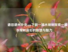 ✌️德信德州扑克app下载一滴水规则探索一滴水规则背后的智慧与魅力