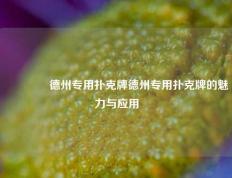 👍德州专用扑克牌德州专用扑克牌的魅力与应用