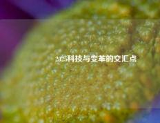 🥇2025科技与变革的交汇点